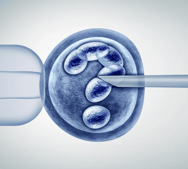 IVF & Fertility